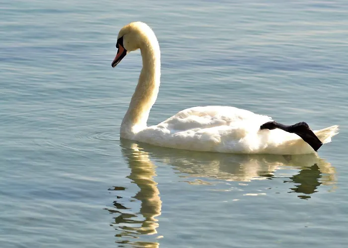 Апартамент Garden Of Eden- Sweet Dreams Rey&mar Saint *