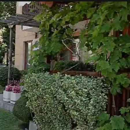 Garden Of Eden- Sweet Dreams Rey&mar Saint