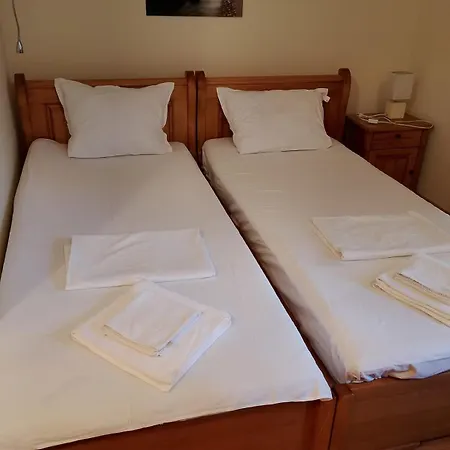 Garden Of Eden- Sweet Dreams Rey&mar Saint