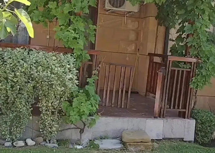 Garden Of Eden- Sweet Dreams Rey&mar Saint